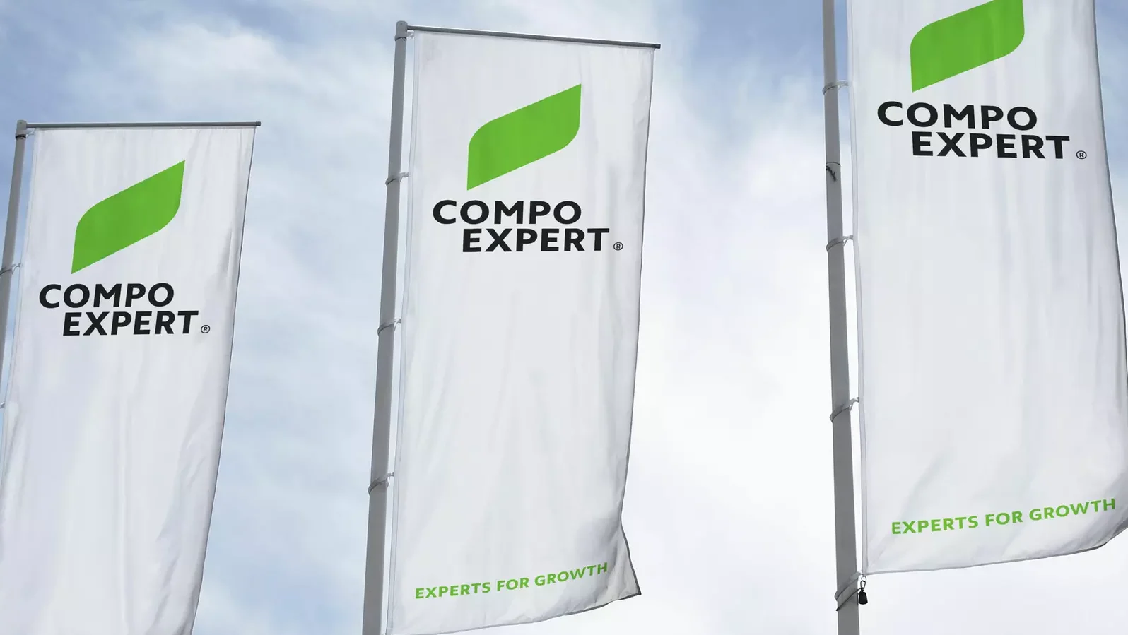 compo-expert-company-about-us-header.jpg|compo expert|Diseño sin título